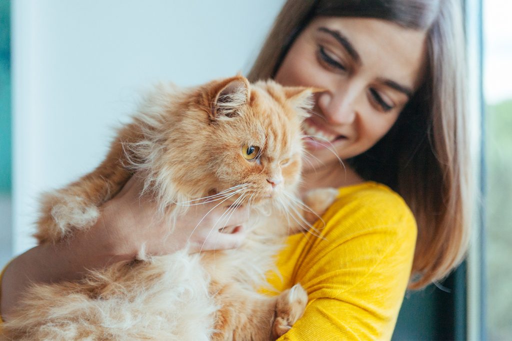Fall in love with the perfect shelter cat.