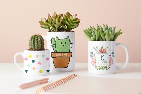 DIY Succulent Mug Planter