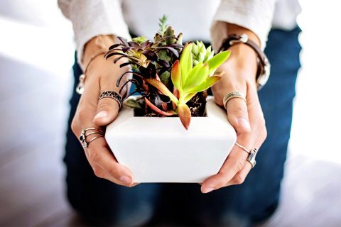 Gifts for Coworkers