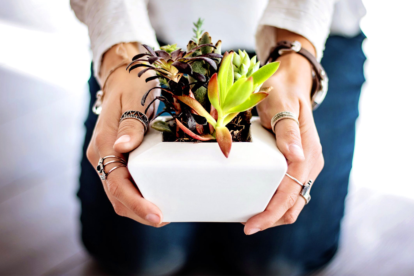 Gifts for Coworkers