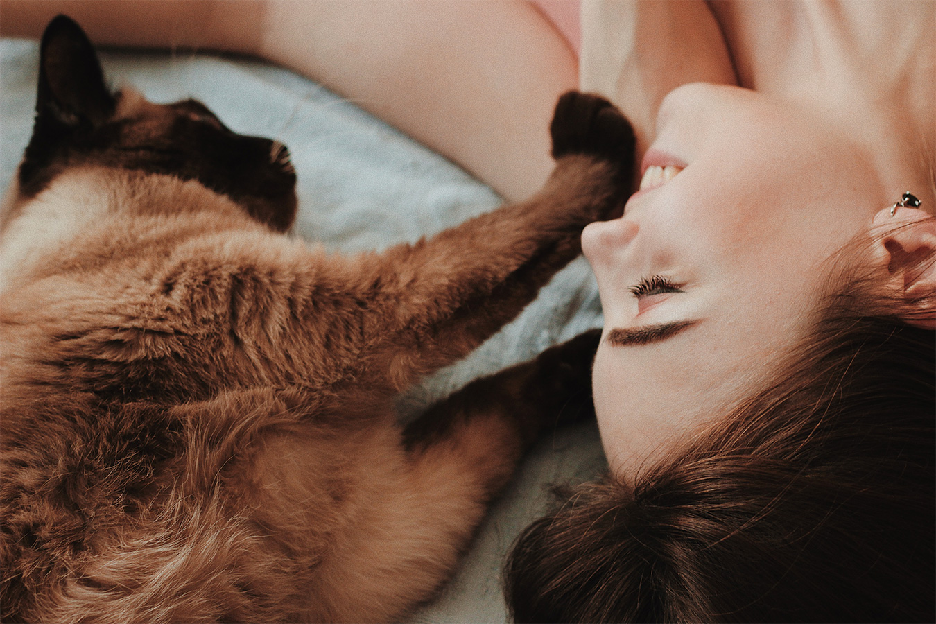 Gift Guide for Cat Lovers