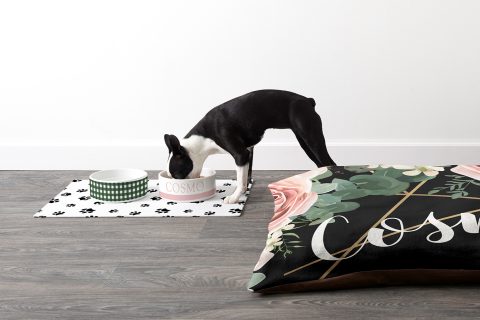 Holiday gift guide for pets