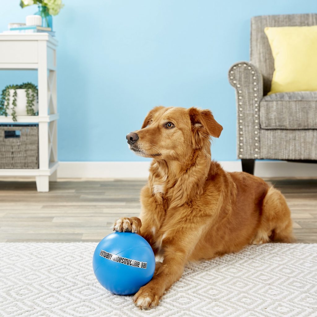 Virtually Indestructible Ball