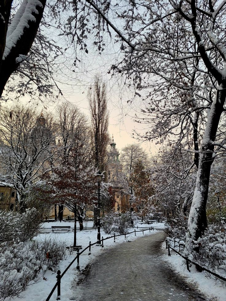 A snow-covered landscape within Planty Park, a famous green space encircling the Old Town of Kraków, Poland.