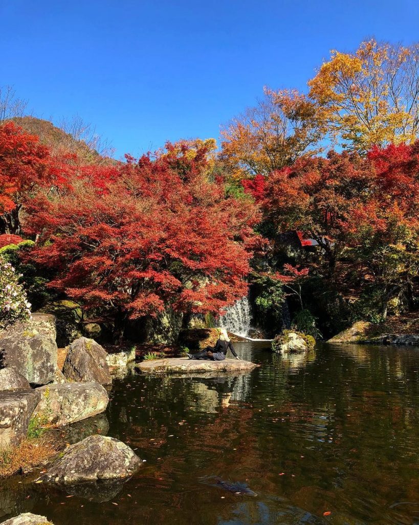 The Keiseki-en Garden showcasing the vibrant red autumn foliage surrounding a central pond, located in the beautiful Yabakei Gorge region of Nakatsu City, Oita Prefecture, Kyushu.