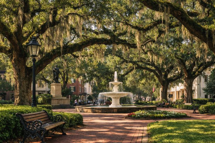 The beautiful Forsyth Park, a 30-acre urban oasis situated in the heart of the historic district of Savannah, Georgia, with a historic fountain and a majestic canopy of massive live oak trees draped elegantly in Spanish moss.