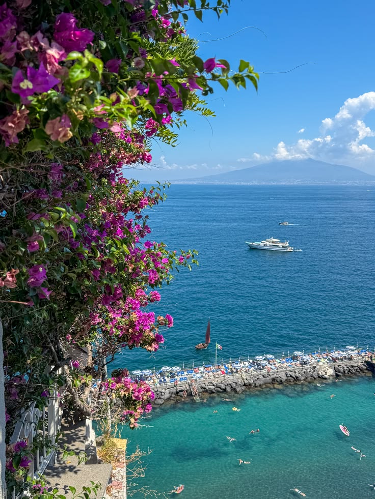 Vibrant bougainvillea vines overlooking a beach area with the sea visible along with Mount Vesuvius in the distance, in Sorrento, Italy.