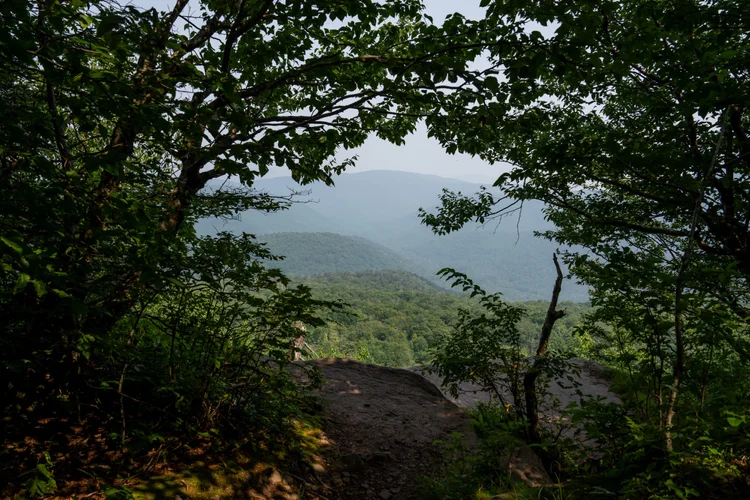 A scenic overlook framed by trees, creating a natural window looking out over the rolling peaks at Giant Ledge along the Panther Mountain Trail in the Catskill Mountains, New York.