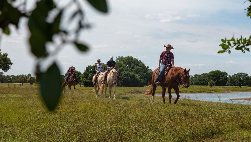 A group of riders is enjoying a guided tour on horseback through a lush, grassy field next to a lake at the Westgate River Ranch & Rodeo in Florida.